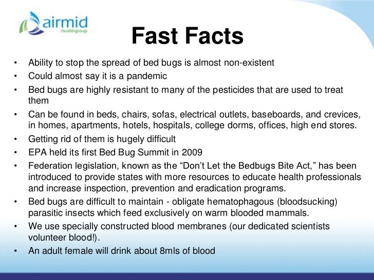 Bed Bugs Facts Bed Bugs Facts