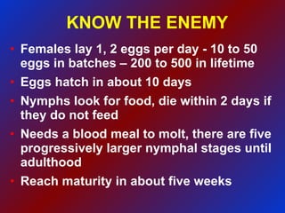 KNOW THE ENEMY Females lay 1, 2 eggs per day - 10 to 50 eggs in batches – 200 to 500 in lifetime Eggs hatch in about 10 days Nymphs look for food, die within 2 days if they do not feed Needs a blood meal to molt, there are five progressively larger nymphal stages until adulthood Reach maturity in about five weeks 