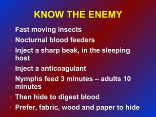 KNOW THE ENEMY Fast moving insects Nocturnal blood feeders Inject a sharp beak, in the sleeping host Inject a anticoagulant Nymphs feed 3 minutes – adults 10 minutes Then hide to digest blood Prefer, fabric, wood and paper to hide 