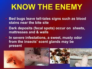 KNOW THE ENEMY Bed bugs leave tell-tales signs such as blood stains near the bite site Dark deposits (fecal spots) occur on  sheets, mattresses and & walls In severe infestations, a sweet, musty odor from the insects’ scent glands may be present 