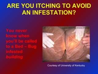 ARE YOU ITCHING TO AVOID AN INFESTATION? You never know when you'll be called to a Bed – Bug infested  building Courtesy of University of Kentucky 