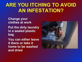 ARE YOU ITCHING TO AVOID AN INFESTATION? Change your clothes at work Put the dirty laundry in a sealed plastic bag You can either leave it there or take it home to be washed and dried  