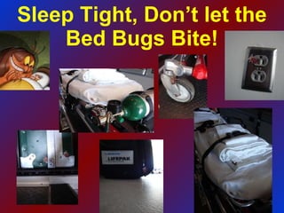 Sleep Tight, Don’t let the Bed Bugs Bite! 