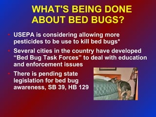 WHAT'S BEING DONE ABOUT BED BUGS? USEPA is considering allowing more pesticides to be use to kill bed bugs* Several cities in the country have developed “Bed Bug Task Forces” to deal with education and enforcement issues There is pending state  legislation for bed bug awareness, SB 39, HB 129 