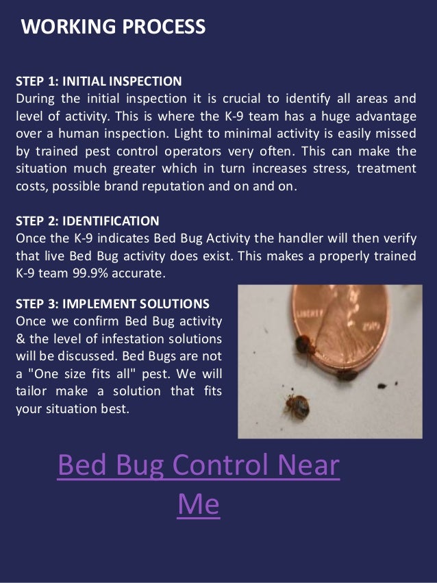 Bed bug removal near me