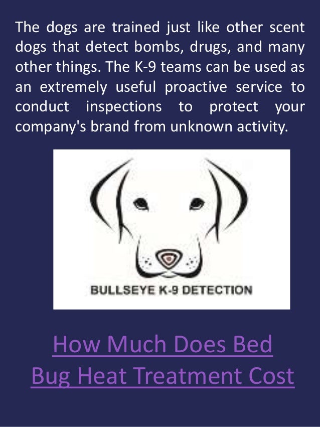 Bed bug removal near me