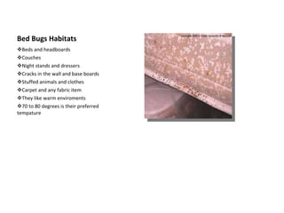 Bed Bugs: A Public Health Issue - US EPA