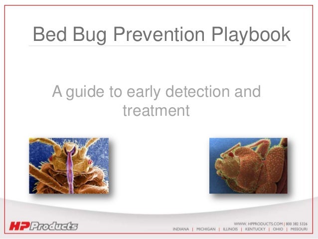 bed bugs prevention