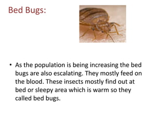 Bed Bugs:
• As the population is being increasing the bed
bugs are also escalating. They mostly feed on
the blood. These insects mostly find out at
bed or sleepy area which is warm so they
called bed bugs.
 