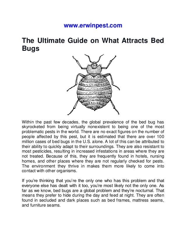 www.erwinpest.com
The Ultimate Guide on What Attracts Bed
Bugs
Within the past few decades, the global prevalence of the bed bug has
skyrocketed from being virtually nonexistent to being one of the most
problematic pests in the world. There are no exact figures on the number of
people affected by this pest, but it is estimated that there are over 100
million cases of bed bugs in the U.S. alone. A lot of this can be attributed to
their ability to quickly adapt to their surroundings. They are also resistant to
most pesticides, resulting in increased infestations in areas where they are
not treated. Because of this, they are frequently found in hotels, nursing
homes, and other places where they are not regularly checked for pests.
The environment they thrive in makes them more likely to come into
contact with other organisms.
If you’re thinking that you’re the only one who has this problem and that
everyone else has dealt with it too, you’re most likely not the only one. As
far as we know, bed bugs are a global problem and they’re nocturnal. That
means they prefer to hide during the day and feed at night. They are often
found in secluded and dark places such as bed frames, mattress seams,
and furniture seams.
 