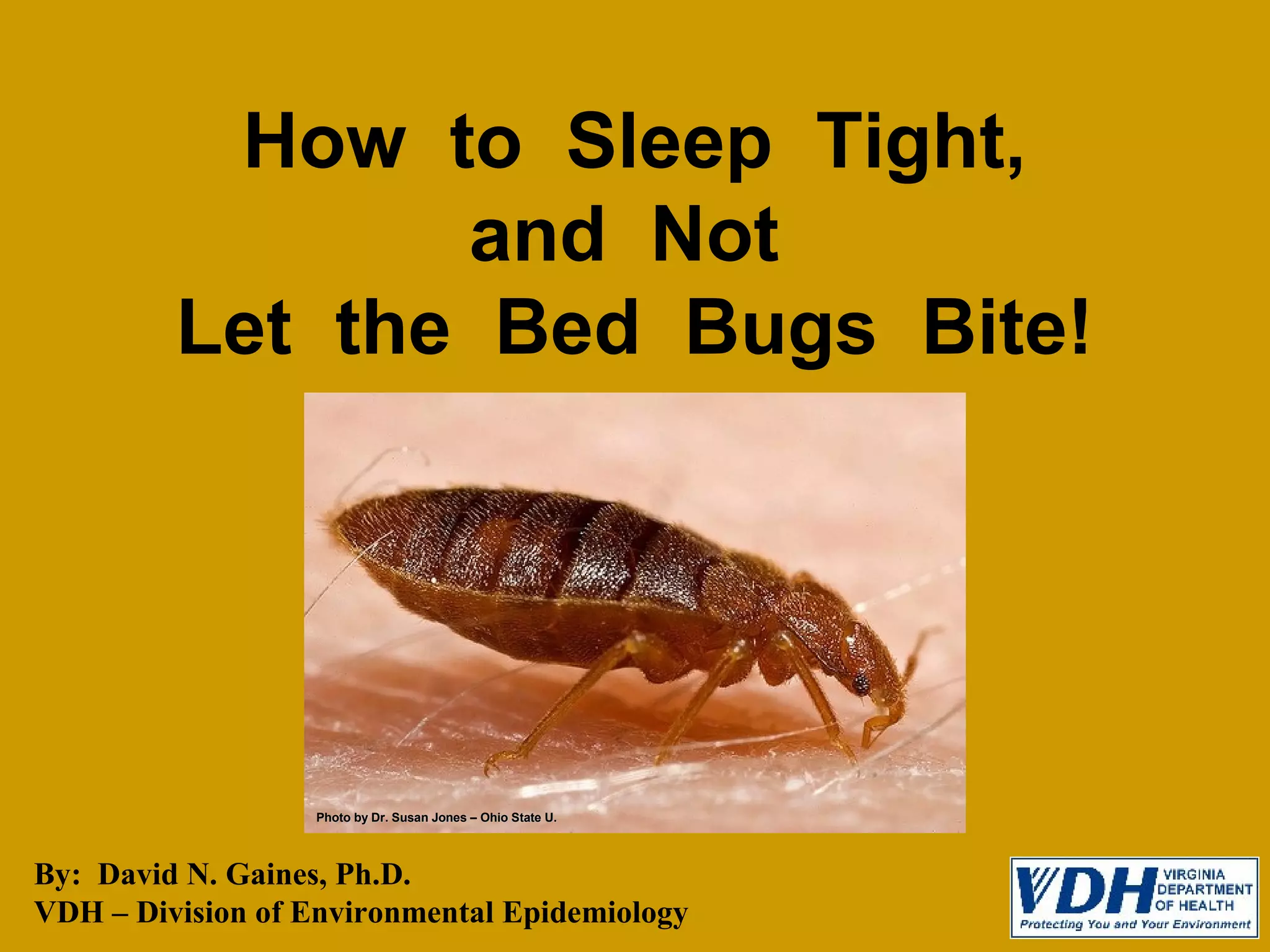 How to Sleep Tight and Not Let the Bed Bugs Bite! PPT