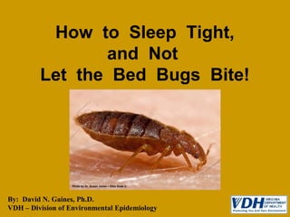 How to Sleep Tight,
and Not
Let the Bed Bugs Bite!
Photo by Dr. Susan Jones – Ohio State U.
By: David N. Gaines, Ph.D.
VDH – Division of Environmental Epidemiology
 