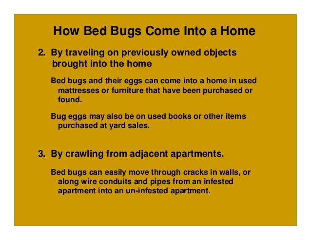 Can Bed Bugs Travel Through Apartment Walls Can Bed Bugs Travel Through Apartment Walls