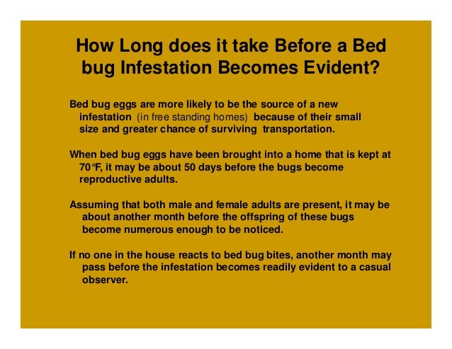 How Long Do Bed Bug Bites Take To Show Up How Long Do Bed Bug Bites Take To Show Up