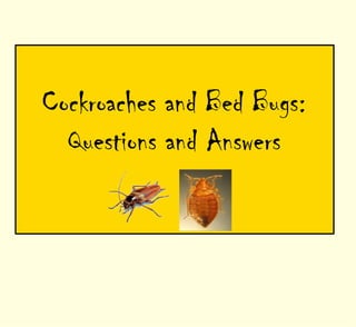 Cockroaches and Bed Bugs:
  Questions and Answers
 