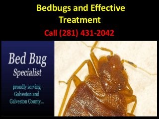 Bedbugs and Effective
Treatment
Call (281) 431-2042
 