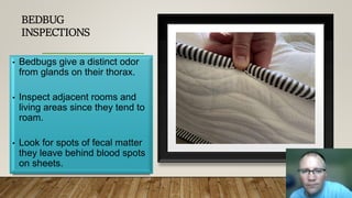 BEDBUG
INSPECTIONS
• Bedbugs give a distinct odor
from glands on their thorax.
• Inspect adjacent rooms and
living areas since they tend to
roam.
• Look for spots of fecal matter
they leave behind blood spots
on sheets.
 