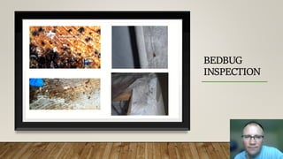 BEDBUG
INSPECTION
 