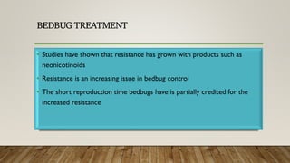 BEDBUG TREATMENT
 
