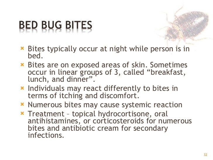 Bed Bugs GPHA