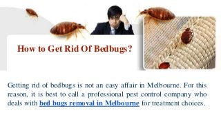 How to Get Rid Of Bedbugs?
Getting rid of bedbugs is not an easy affair in Melbourne. For this
reason, it is best to call a professional pest control company who
deals with bed bugs removal in Melbourne for treatment choices.
 