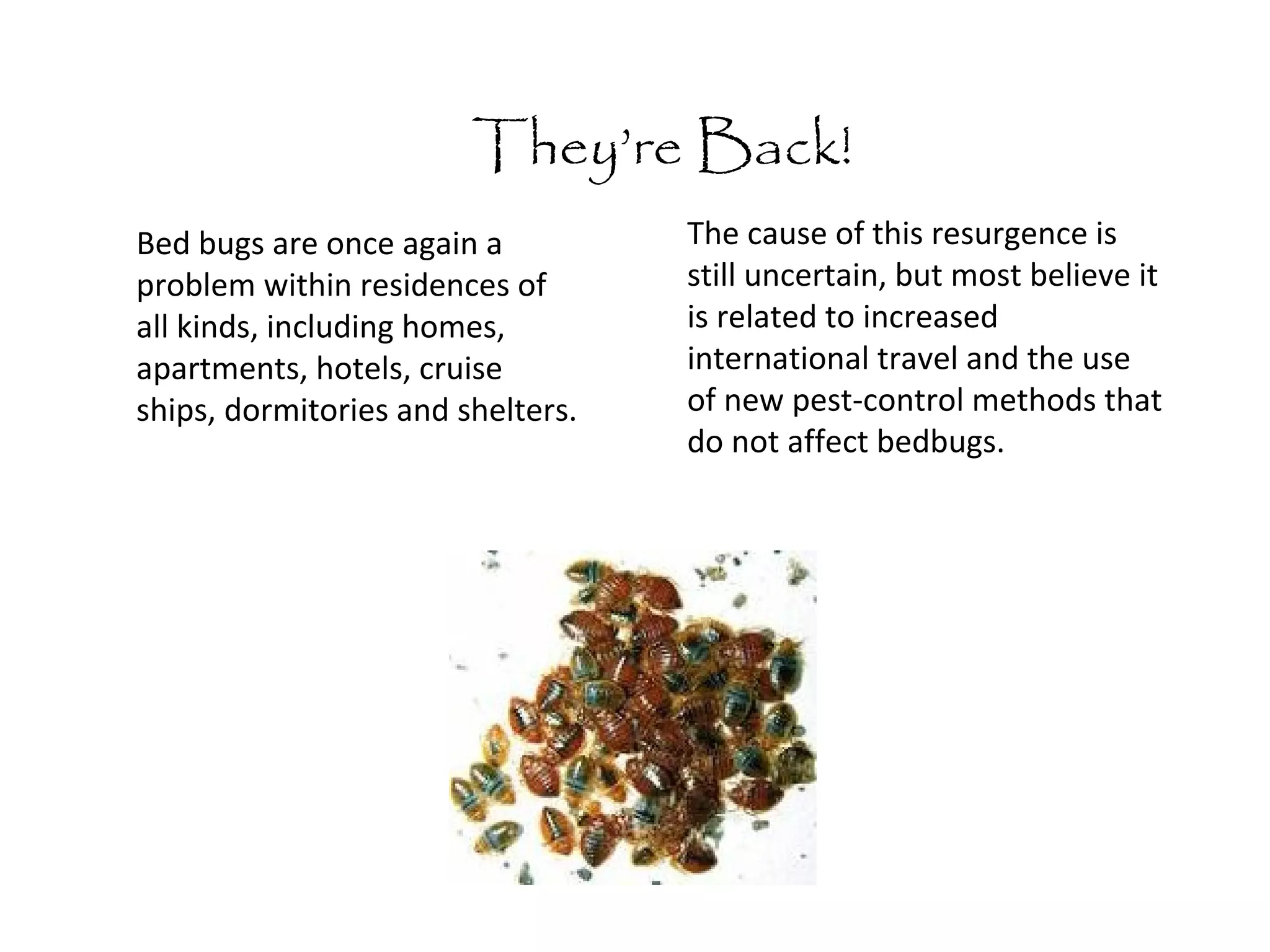Curated visual reference: Natural Methods For Bed Bug Control In Schools Reference: Bed Bugs In Schools Ppt Sleep Disorders