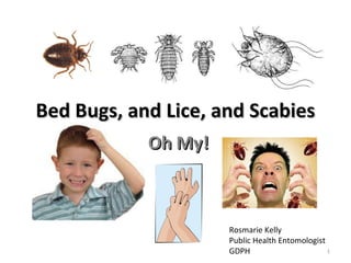 Bed Bugs, and Lice, and Scabies Oh My! Rosmarie Kelly Public Health Entomologist GDPH 