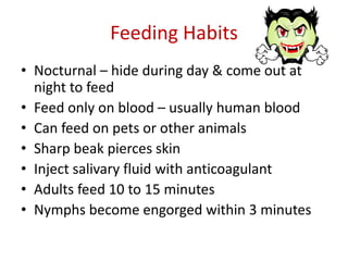 Feeding Habits
• Nocturnal – hide during day & come out at
night to feed
• Feed only on blood – usually human blood
• Can feed on pets or other animals
• Sharp beak pierces skin
• Inject salivary fluid with anticoagulant
• Adults feed 10 to 15 minutes
• Nymphs become engorged within 3 minutes
 