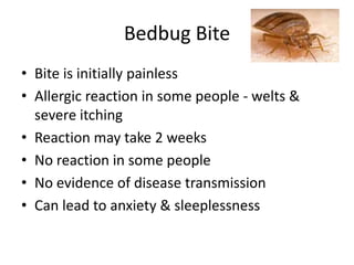 Bedbug Bite
• Bite is initially painless
• Allergic reaction in some people - welts &
severe itching
• Reaction may take 2 weeks
• No reaction in some people
• No evidence of disease transmission
• Can lead to anxiety & sleeplessness
 