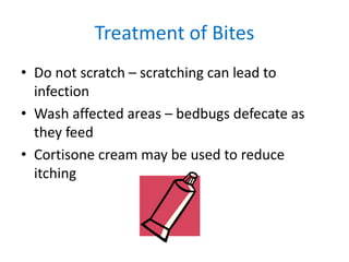 Treatment of Bites
• Do not scratch – scratching can lead to
infection
• Wash affected areas – bedbugs defecate as
they feed
• Cortisone cream may be used to reduce
itching
 