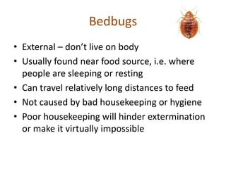 Bedbugs
• External – don’t live on body
• Usually found near food source, i.e. where
people are sleeping or resting
• Can travel relatively long distances to feed
• Not caused by bad housekeeping or hygiene
• Poor housekeeping will hinder extermination
or make it virtually impossible
 