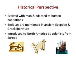 Historical Perspective
• Evolved with man & adapted to human
habitations
• Bedbugs are mentioned in ancient Egyptian &
Greek literature
• Introduced to North America by colonists from
Europe
 