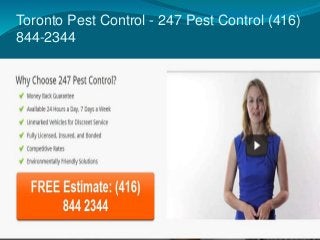 Toronto Pest Control - 247 Pest Control (416)
844-2344
 