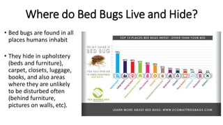 Bed Bugs: How to protect your library from infestation | PDF