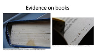 Bed Bugs: How to protect your library from infestation | PDF
