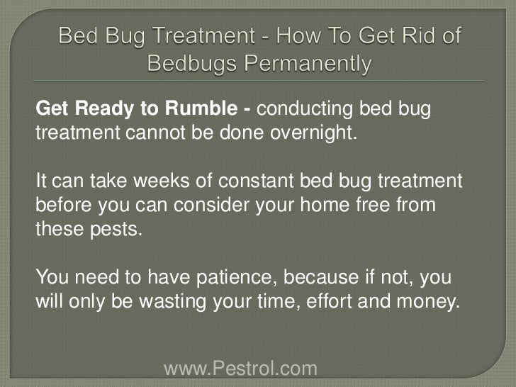 How To Get Rid Of Bed Bugs Yourself Using Salt How To Get Rid Of Bed Bugs Yourself Using Salt