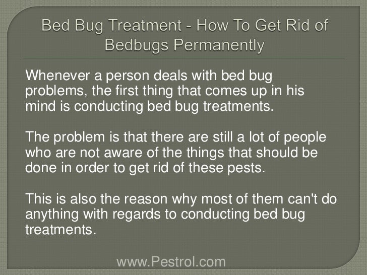 Bed Bugs Treatment Nyc