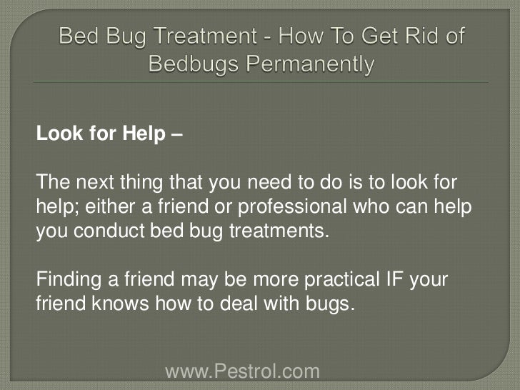 Bed Bugs Treatment Nyc