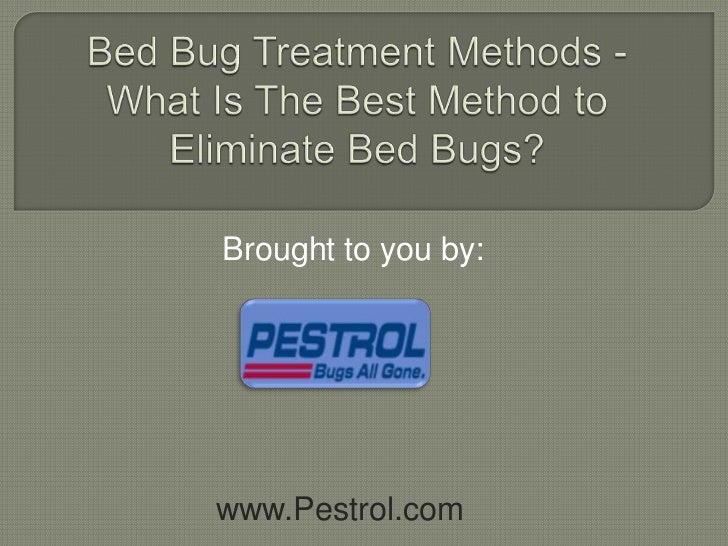 Bed Bug Treatment NYC Methods What is the Best Method to Eliminate