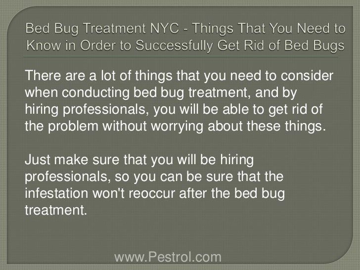 How To Get Rid Of Bed Bugs Without A Professional How To Get Rid Of Bed Bugs Without A Professional
