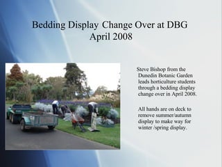 Bedding Display   Change Over at DBG  April 2008 ,[object Object],[object Object]