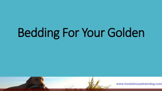 Bedding For Your Golden
 