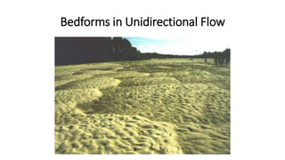 Bedforms in Unidirectional Flow
 
