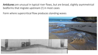 Antidunes are unusual in typical river flows, but are broad, slightly asymmetrical
bedforms that migrate upstream (!) in most cases
Form where supercritical flow produces standing waves
 