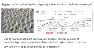 Ripples are the smallest bedform, typically a few cm tall and 10-20 cm wavelength
Erosion Deposition
Due to flow reattachment on stoss side of ripple, laminar sublayer of
boundary layer is compressed and flow velocity is higher – leads to erosion
Low velocity in eddy on lee side leads to deposition
 