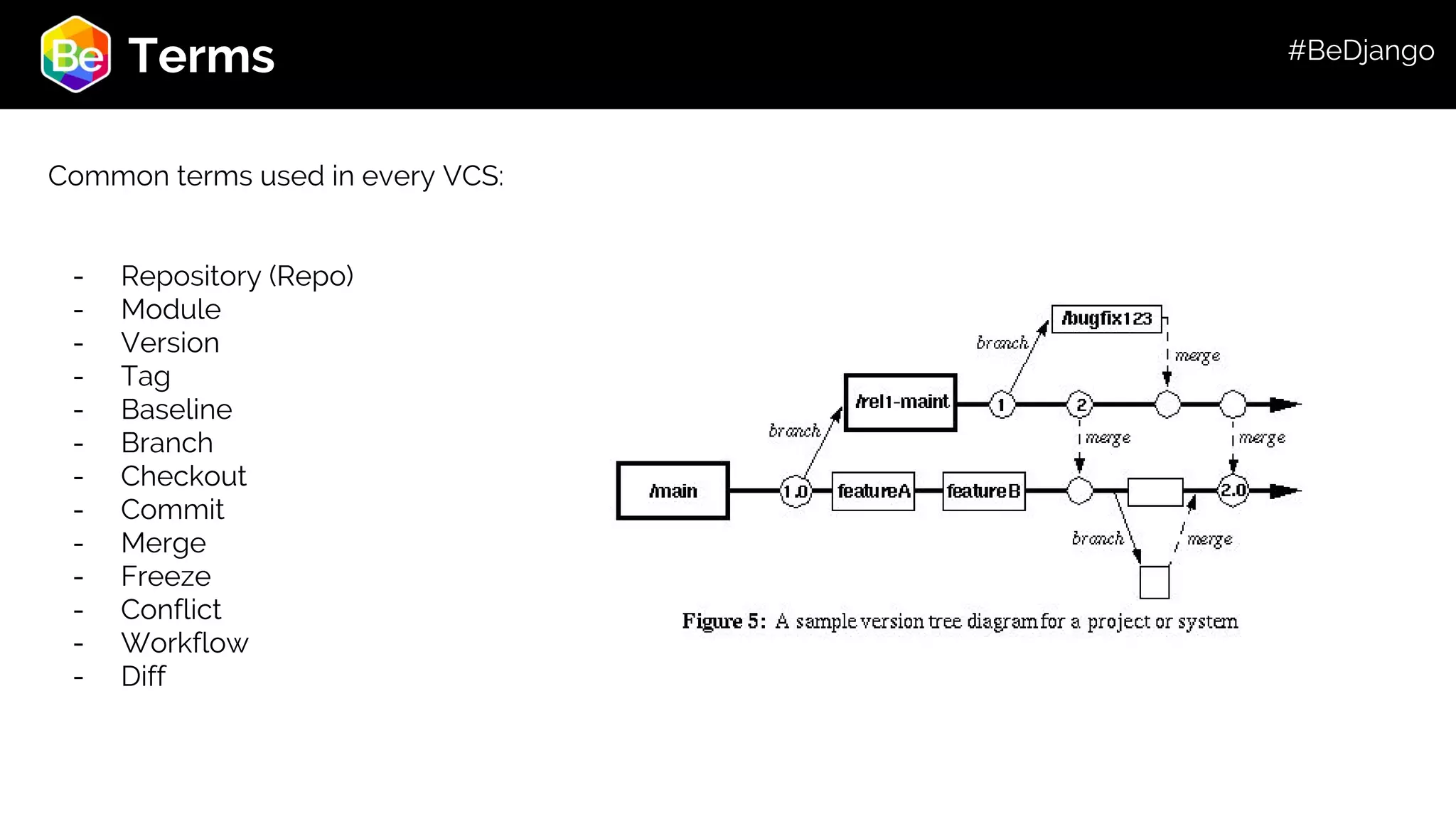 Roadmap Terms Common terms used in every VCS: - Repository (Repo) - Module - Version - Tag - Baseline - Branch - Checkout - Commit - Merge - Freeze - Conflict - Workflow - Diff #BeDjango 