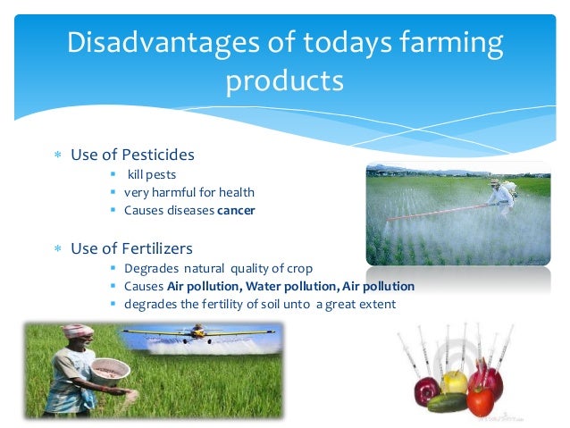 Organic farming business plan ppt image