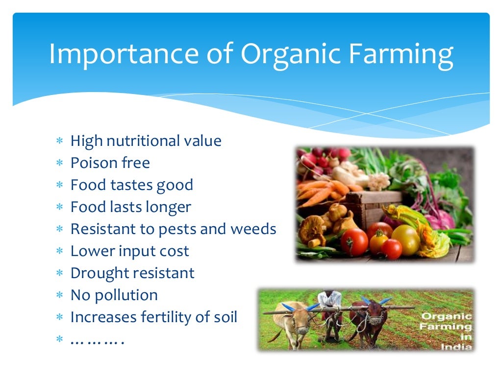 Organic farm business plan sample image