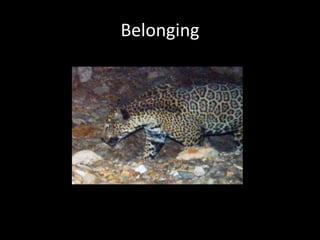 Belonging
 