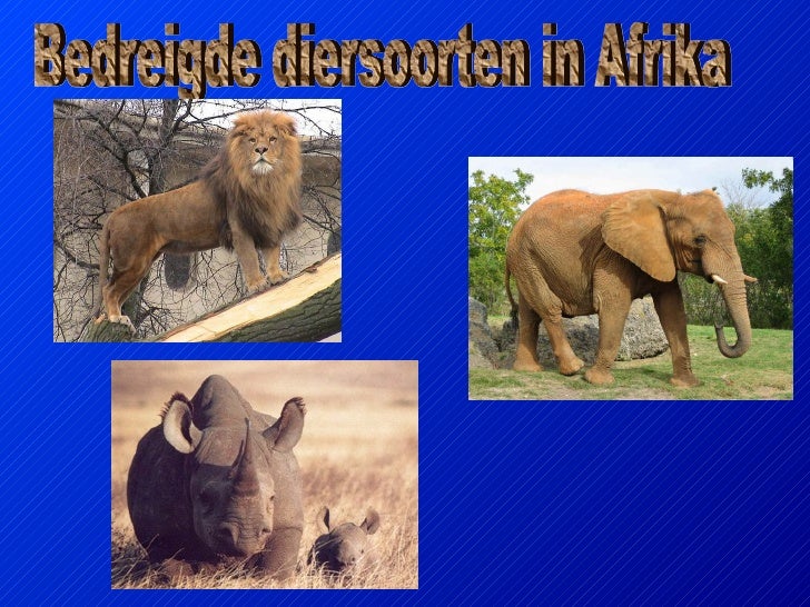 Bedreigde Diersoorten